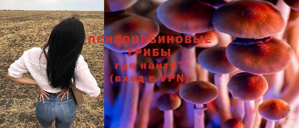 шишки Беломорск