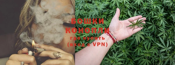 шишки Беломорск