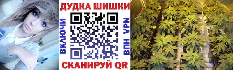 Канабис сатива Купить где Советский